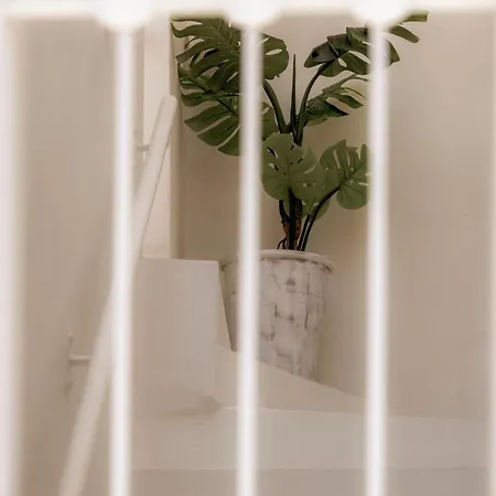 White Syros Daire Ermoupoli